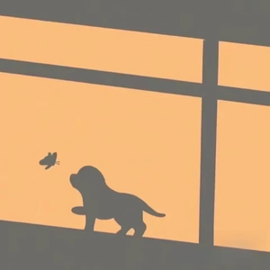 噜噜噜视频在线观看
