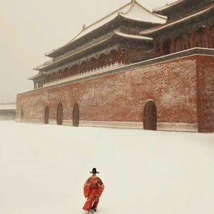 噜噜噜视频在线观看
